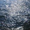 2009.2.15の画像