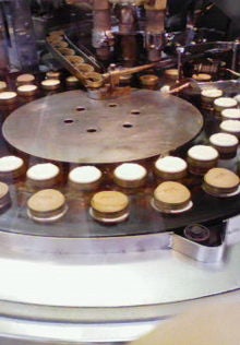 strawberry  life-200812201350000.jpg