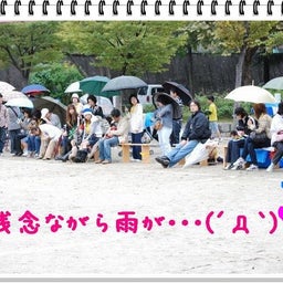 画像 【わんわん運動会！！ｉｎ２００８】part１♪ の記事より 3つ目