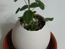2008071923280000.jpg