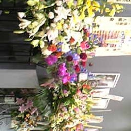 画像 ふらっと京橋花月へ の記事より 4つ目