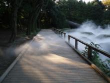 霧