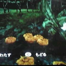 画像 一灯 の記事より