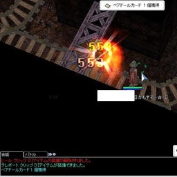 ベアドール