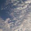 We All Right！の画像