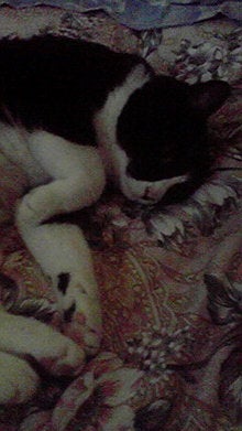 2008070316010000.jpg