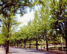 200705231015000.jpg
