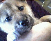 200604091526000.jpg