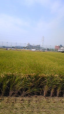 081004_093640.jpg