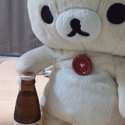 つぶやき(･ш･)ﾋﾞｰﾊﾞｰ-20081211073249.jpg