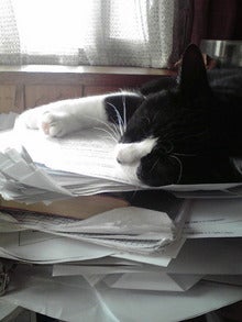 2008083014250000.jpg