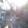 ☆まぶしぃ☆の画像