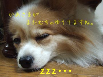ひとりごと２