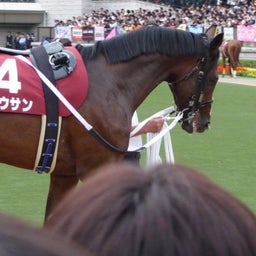 2008年毎日王冠_チョウサン