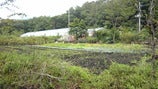 18f62f63.jpg