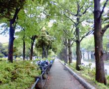 200605141145000.jpg