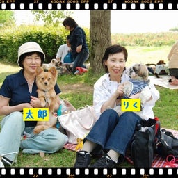 画像 ２００８年　遠足♪木曽三川公園！！ の記事より 8つ目