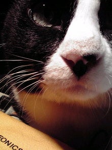 2008081801460000.jpg