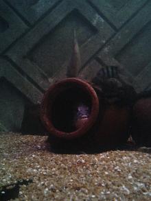 なにみてんだよぉ～