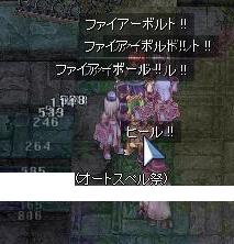 セージ祭り
