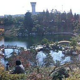 画像 紅葉？ の記事より 10つ目