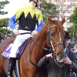 ウマキュン！！！-カネヒキリとルメール騎手