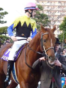 ウマキュン！！！-カネヒキリとルメール騎手