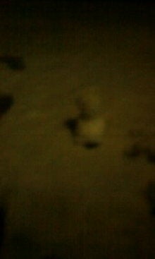 080209_2147~01.JPG