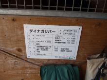 ダイナガリバー説明