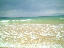 海