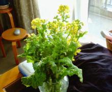200601300735000.jpg