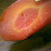 正月はなんだかんだで…④の画像