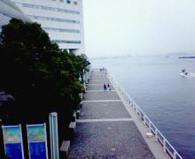 200607081446000.jpg
