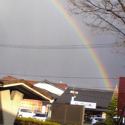 ﾊﾞｰﾄﾞ☆のぐだぐた日記-Image111.jpg