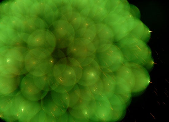 hanabi4