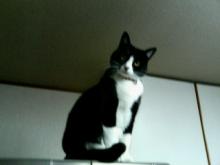 200603011524000.jpg