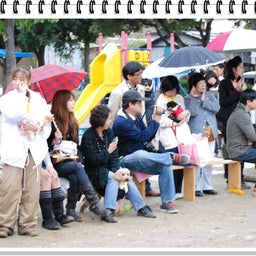 画像 【わんわん運動会ｉｎ２００８！！】Part3♪ の記事より 46つ目