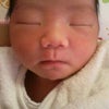 似の画像