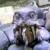 なんだ？！お前は？！の画像