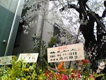 はな.jpg
