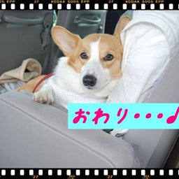 画像 ２００８年　遠足♪　土岐プレミアムアウトレット！！ の記事より 25つ目