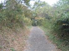 sanpo1