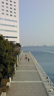 200803011041000.jpg