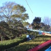 ローラーコースターの画像