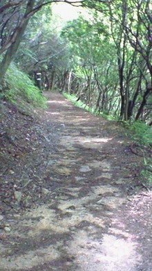 200807091212000.jpg