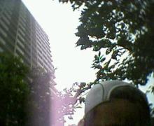 200607291015000.jpg