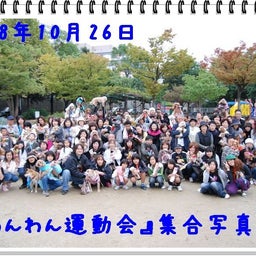 画像 【わんわん運動会ｉｎ２００８！！】Part４ の記事より 17つ目