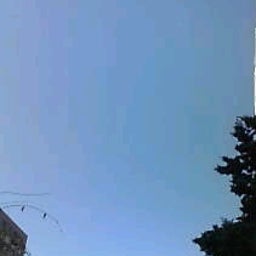 20081125103154.jpg