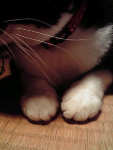 2008091101120000.jpg