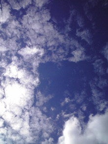 2008092009470000.jpg